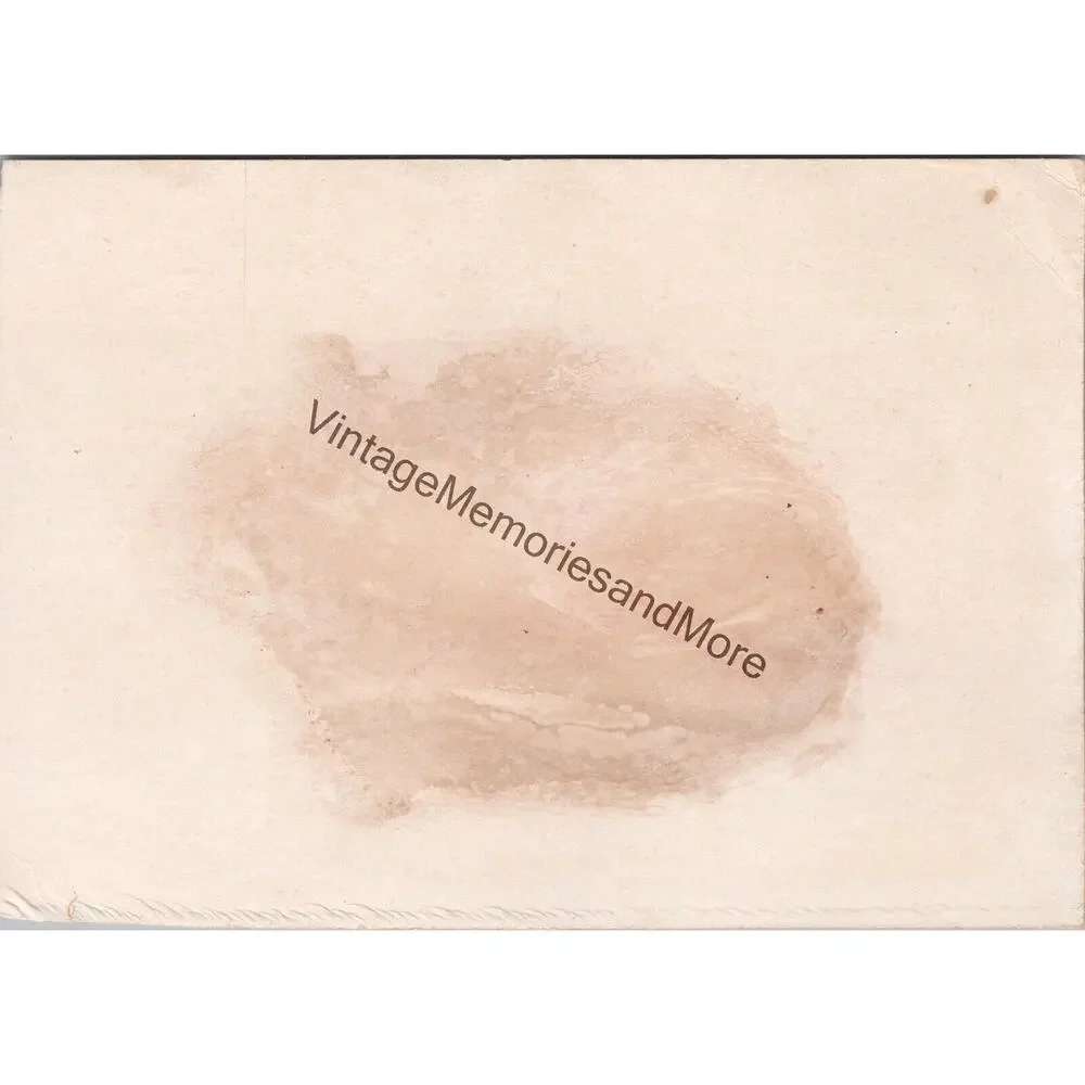 Vintage Mc Lane's Liver Pills Advertising Trade Card‎ PB23